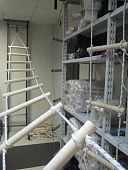 Лестница навесная хозяйственная «ЛНХ» 15 метров